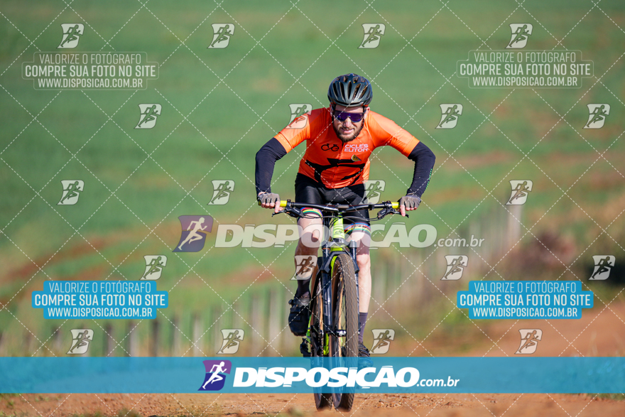 V Desafio MTB Marialva