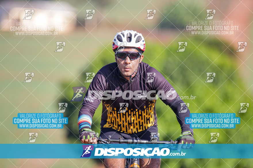 V Desafio MTB Marialva