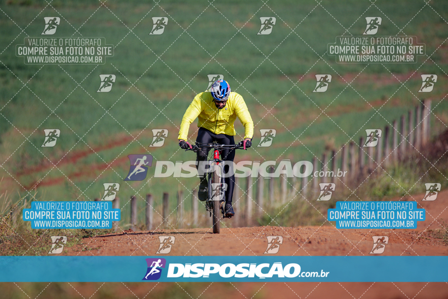 V Desafio MTB Marialva