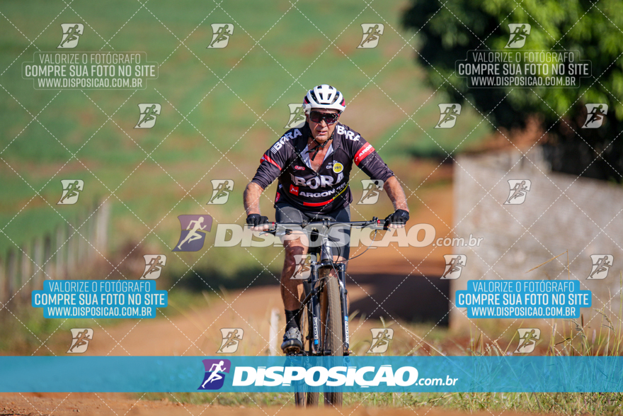 V Desafio MTB Marialva