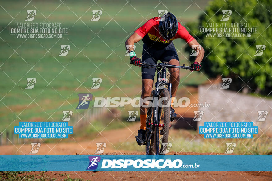 V Desafio MTB Marialva