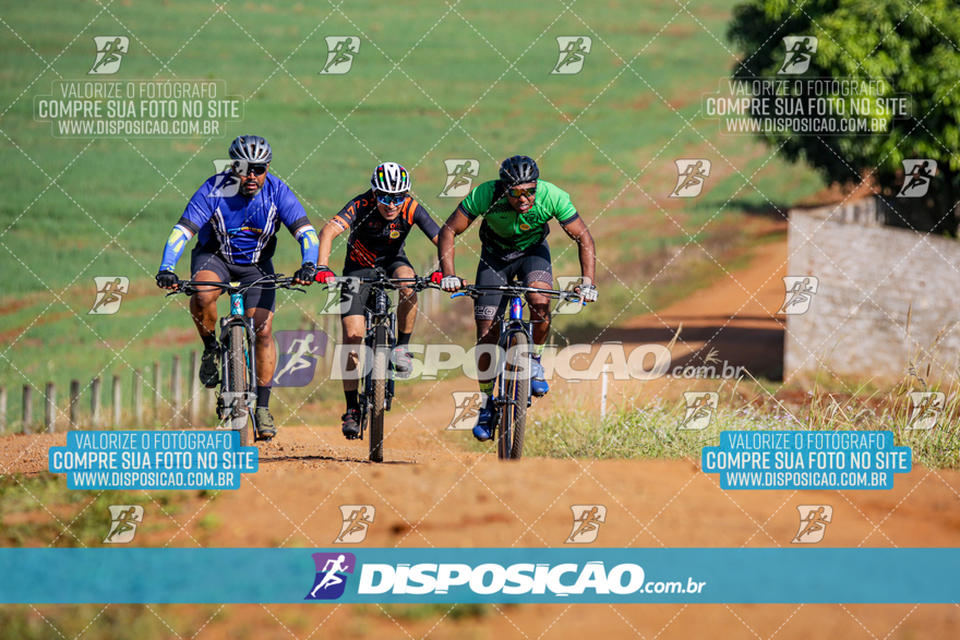 V Desafio MTB Marialva