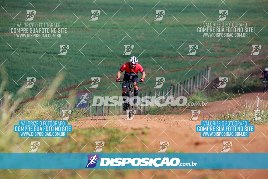 V Desafio MTB Marialva