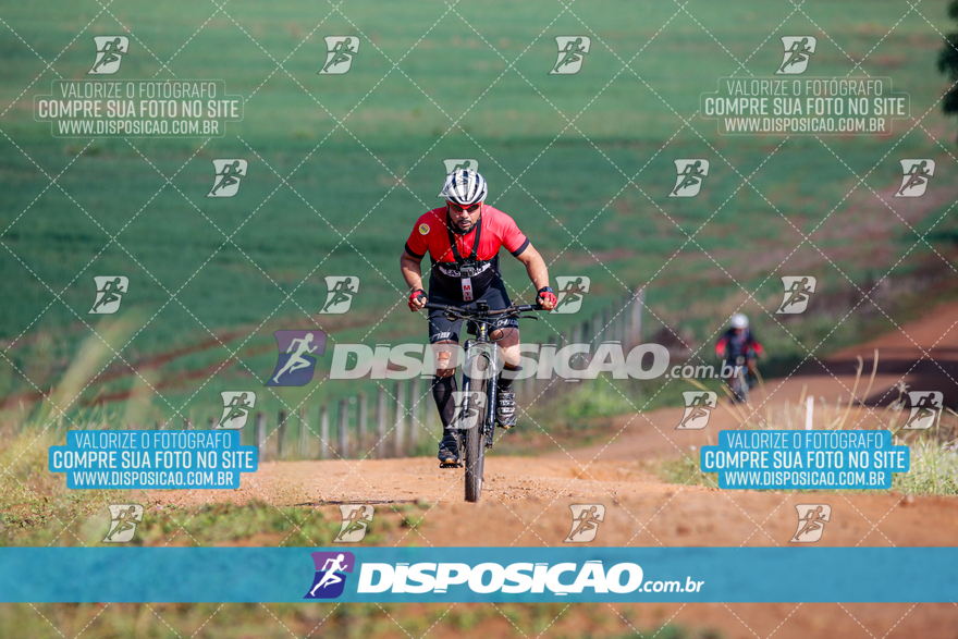 V Desafio MTB Marialva