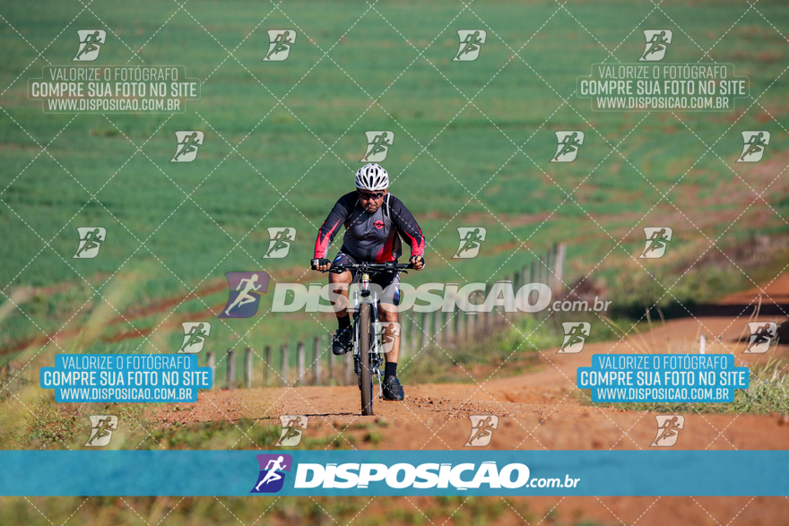 V Desafio MTB Marialva