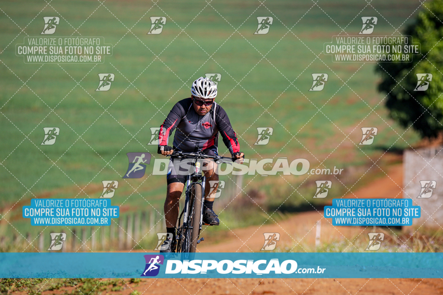 V Desafio MTB Marialva