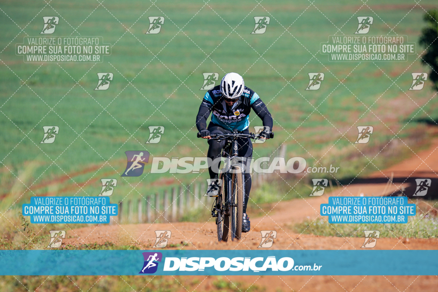 V Desafio MTB Marialva