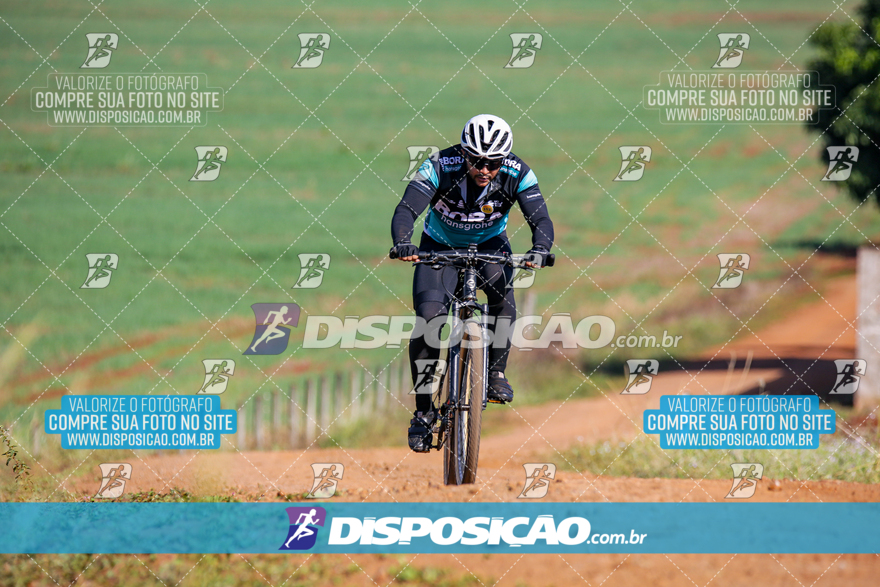 V Desafio MTB Marialva