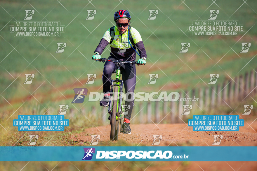 V Desafio MTB Marialva