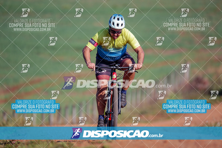 V Desafio MTB Marialva