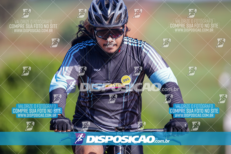 V Desafio MTB Marialva