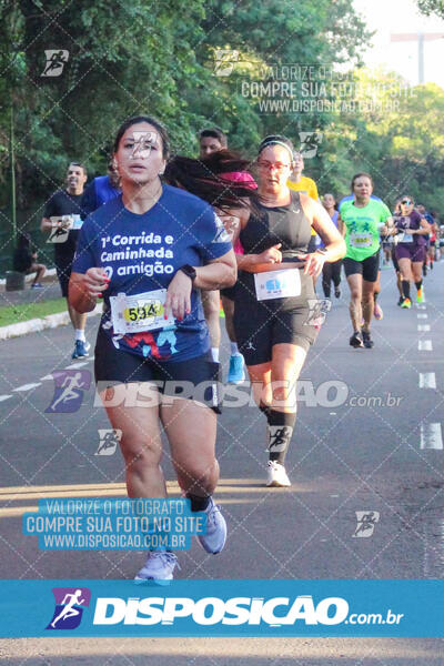 1ª Corrida Maringá Solidária