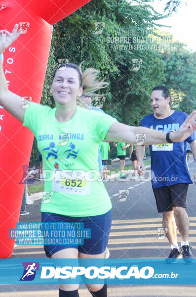 1ª Corrida Maringá Solidária