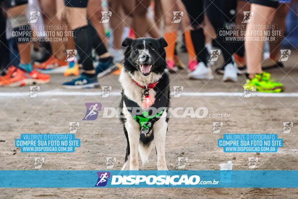 6ª Corrida Pedestre de Santo Antônio 