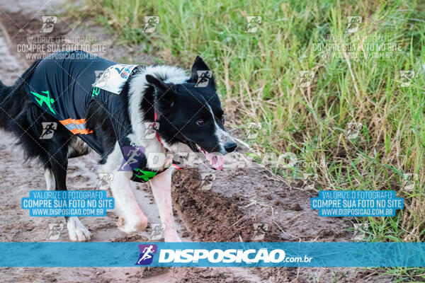 6ª Corrida Pedestre de Santo Antônio 