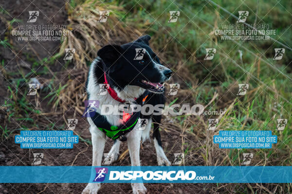 6ª Corrida Pedestre de Santo Antônio 