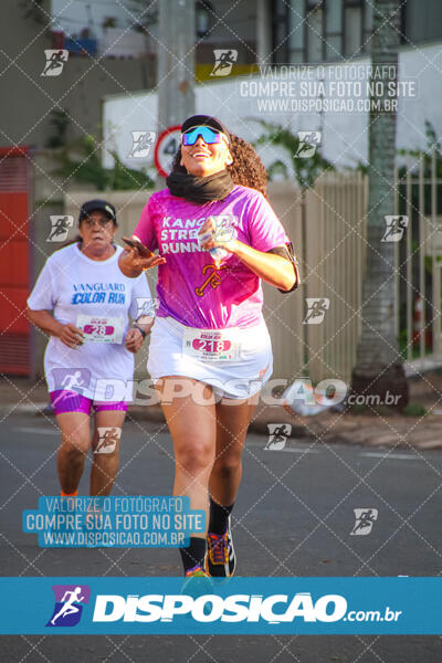 Vanguard Color Run 2024