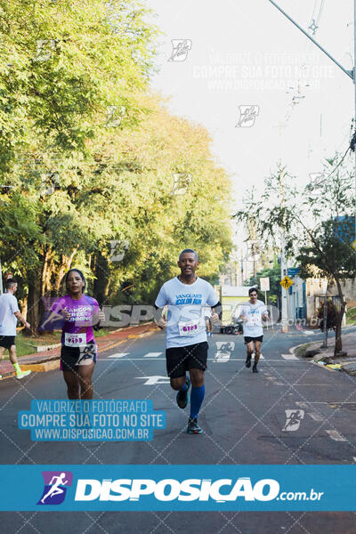 Vanguard Color Run 2024