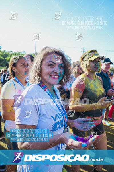 Vanguard Color Run 2024