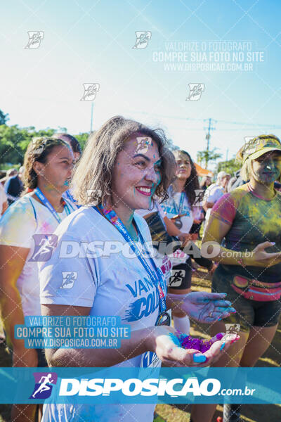 Vanguard Color Run 2024