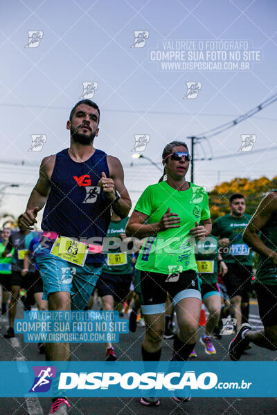 Circuito SESC de Corrida de Rua 2024 - Arapongas