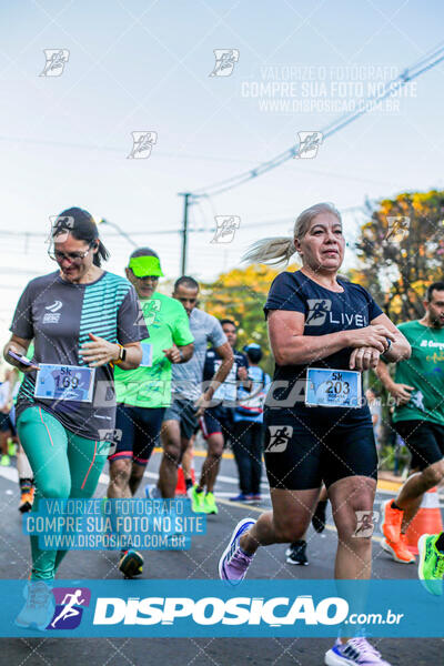 Circuito SESC de Corrida de Rua 2024 - Arapongas