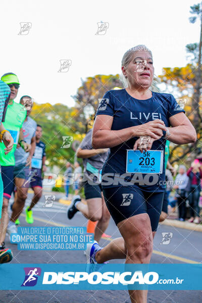 Circuito SESC de Corrida de Rua 2024 - Arapongas