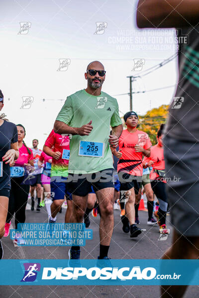 Circuito SESC de Corrida de Rua 2024 - Arapongas