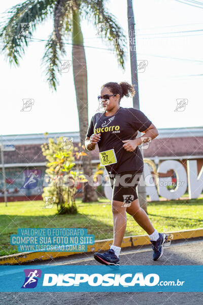 Circuito SESC de Corrida de Rua 2024 - Arapongas