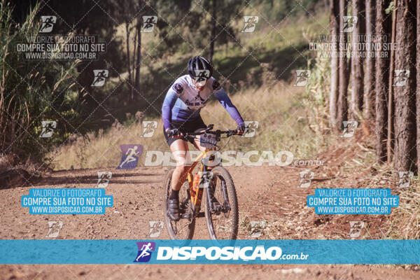 Circuito Regional MTB Etapa Marumbi