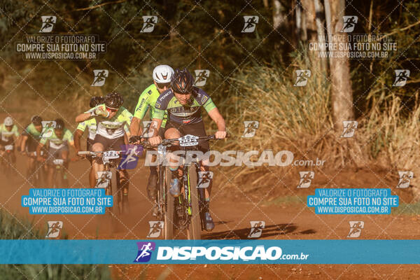 Circuito Regional MTB Etapa Marumbi