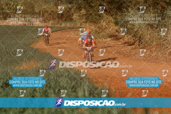 Circuito Regional MTB Etapa Marumbi