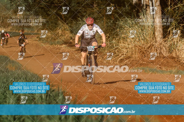 Circuito Regional MTB Etapa Marumbi