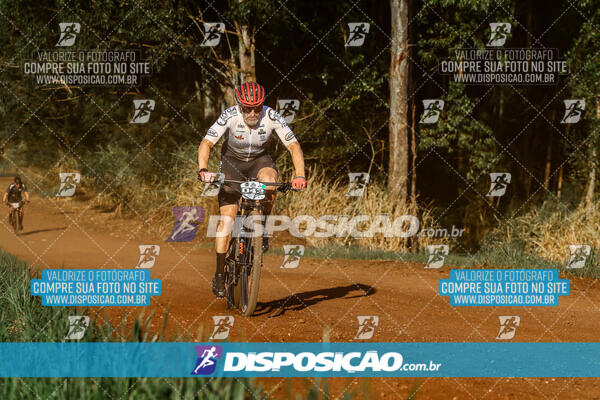 Circuito Regional MTB Etapa Marumbi