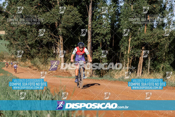 Circuito Regional MTB Etapa Marumbi