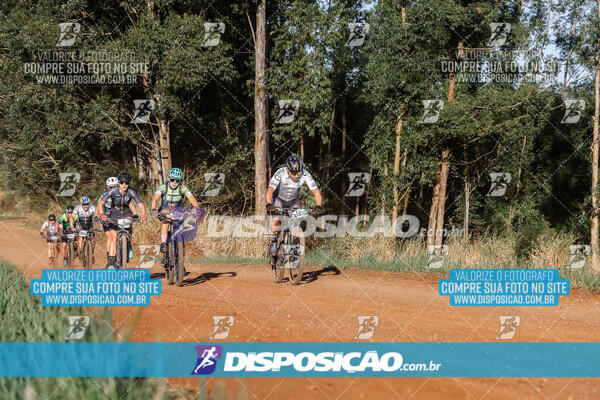 Circuito Regional MTB Etapa Marumbi