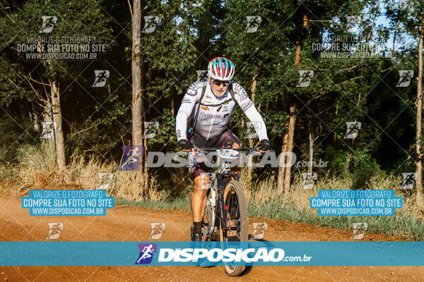 Circuito Regional MTB Etapa Marumbi