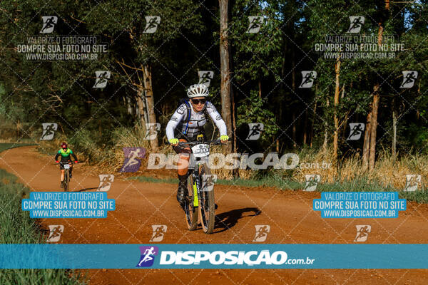 Circuito Regional MTB Etapa Marumbi