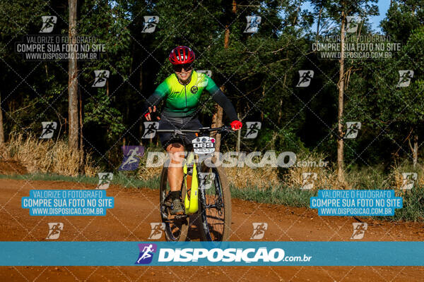 Circuito Regional MTB Etapa Marumbi