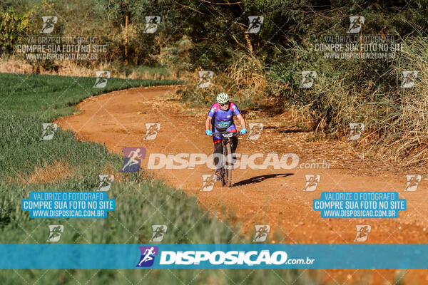 Circuito Regional MTB Etapa Marumbi