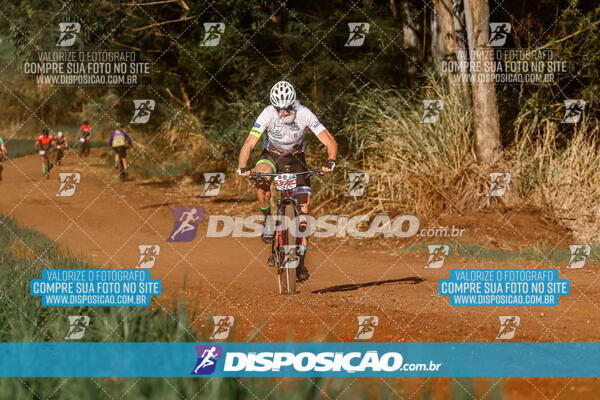 Circuito Regional MTB Etapa Marumbi