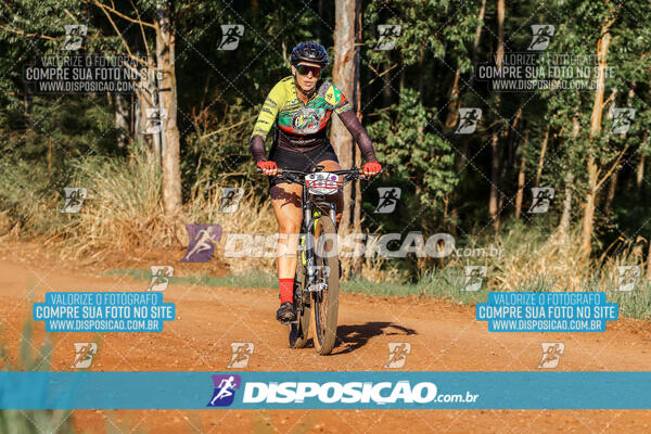 Circuito Regional MTB Etapa Marumbi