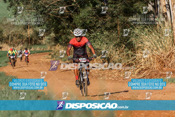 Circuito Regional MTB Etapa Marumbi