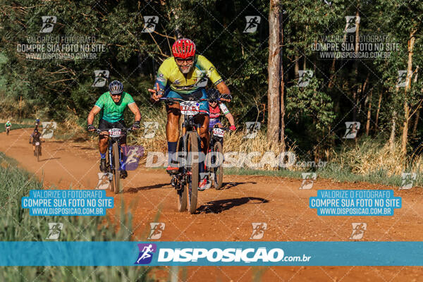 Circuito Regional MTB Etapa Marumbi