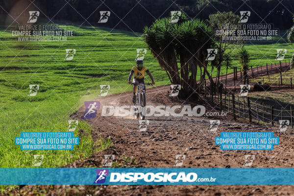 Circuito Regional MTB Etapa Marumbi