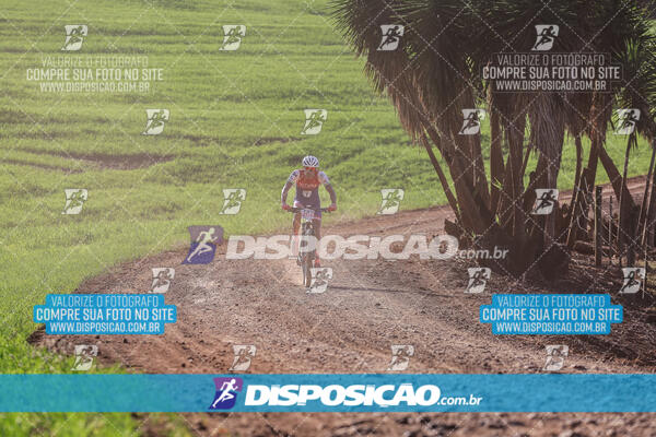 Circuito Regional MTB Etapa Marumbi