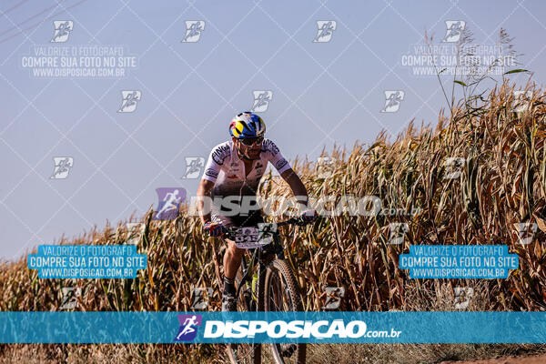 Circuito Regional MTB Etapa Marumbi