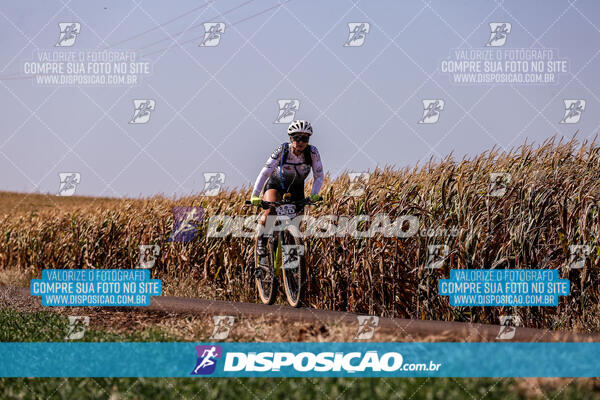 Circuito Regional MTB Etapa Marumbi