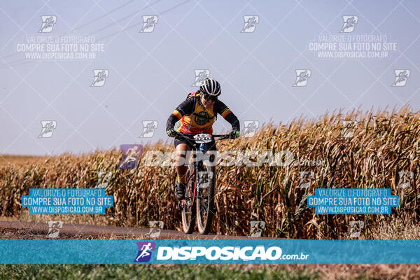 Circuito Regional MTB Etapa Marumbi