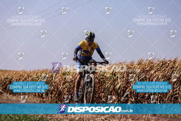 Circuito Regional MTB Etapa Marumbi